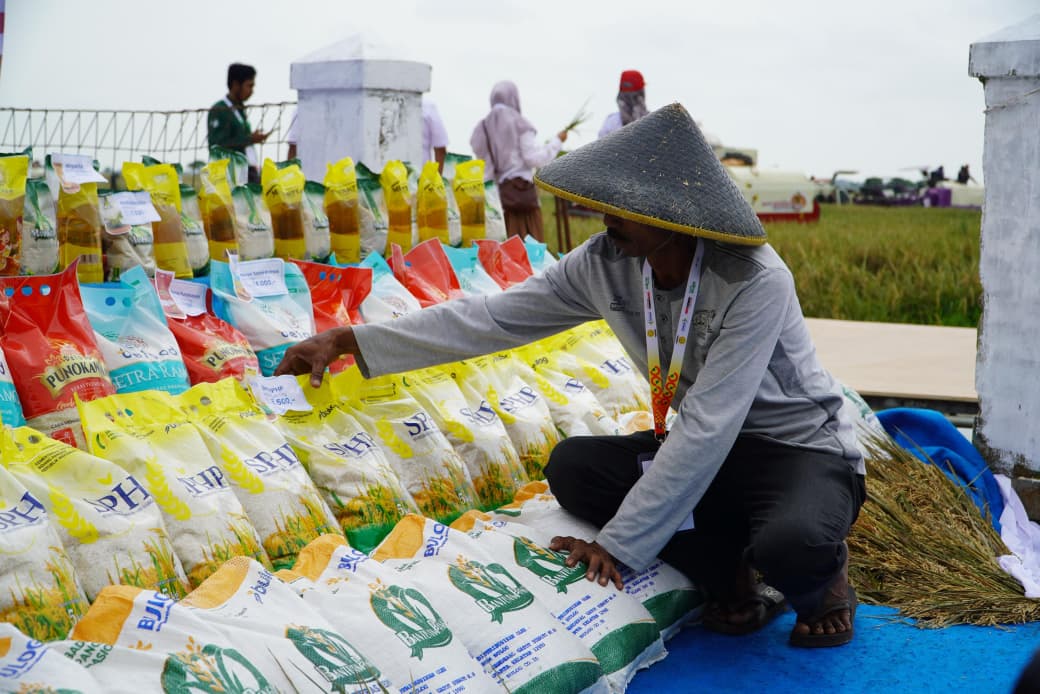 Catat Rekor, Stok Cadangan Beras Pemerintah Bulan Depan Tembus 5 Juta