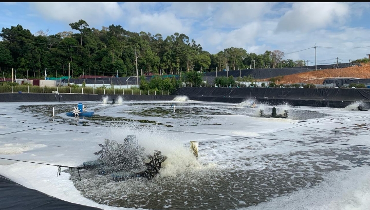 Harganya Drop 75 Persen, Bursa Lanjut Bekukan Saham UDNG
