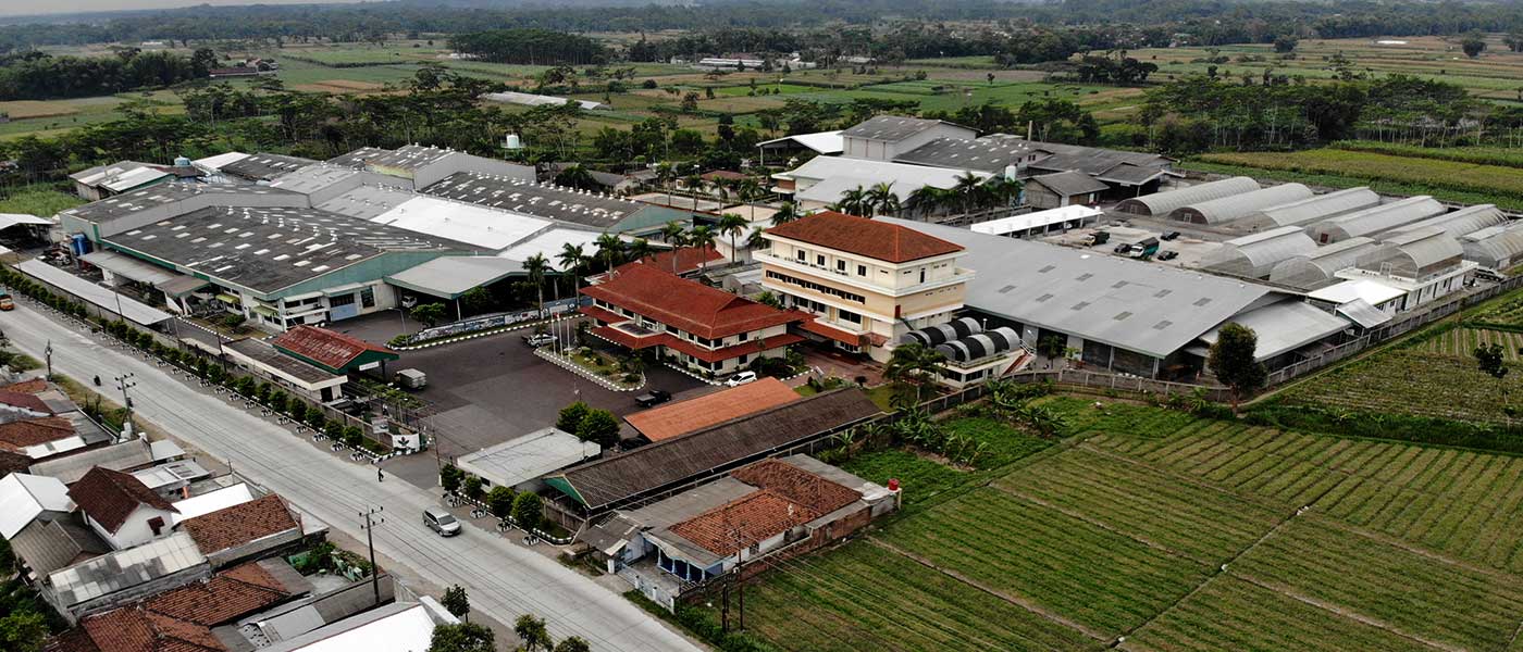 Akhiri 2025, Laba dan Penjualan BISI Kompak Melejit