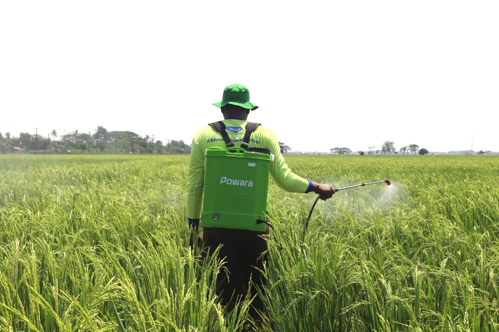 Kinerja DGWG Positif Seiring Penguatan Kedaulatan Pangan dan Energi 