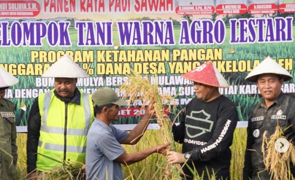 Panen Raya Meluas, Cadangan Beras Menuju 5 Juta Ton