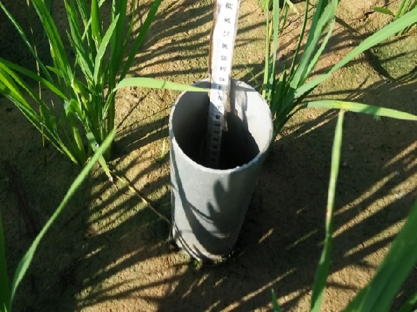 Kementan Andalkan AWD Hemat Air Hadapi Kemarau