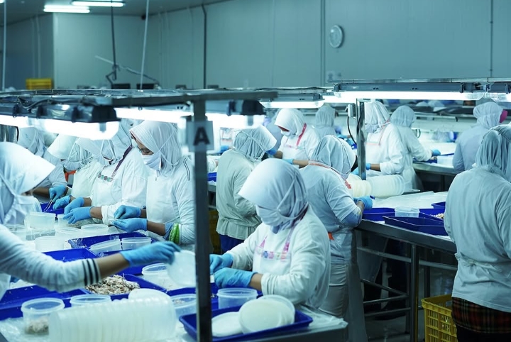 Penjualan ENZO Susut 30,49 Persen, Laba Berbalik Rugi di 2025