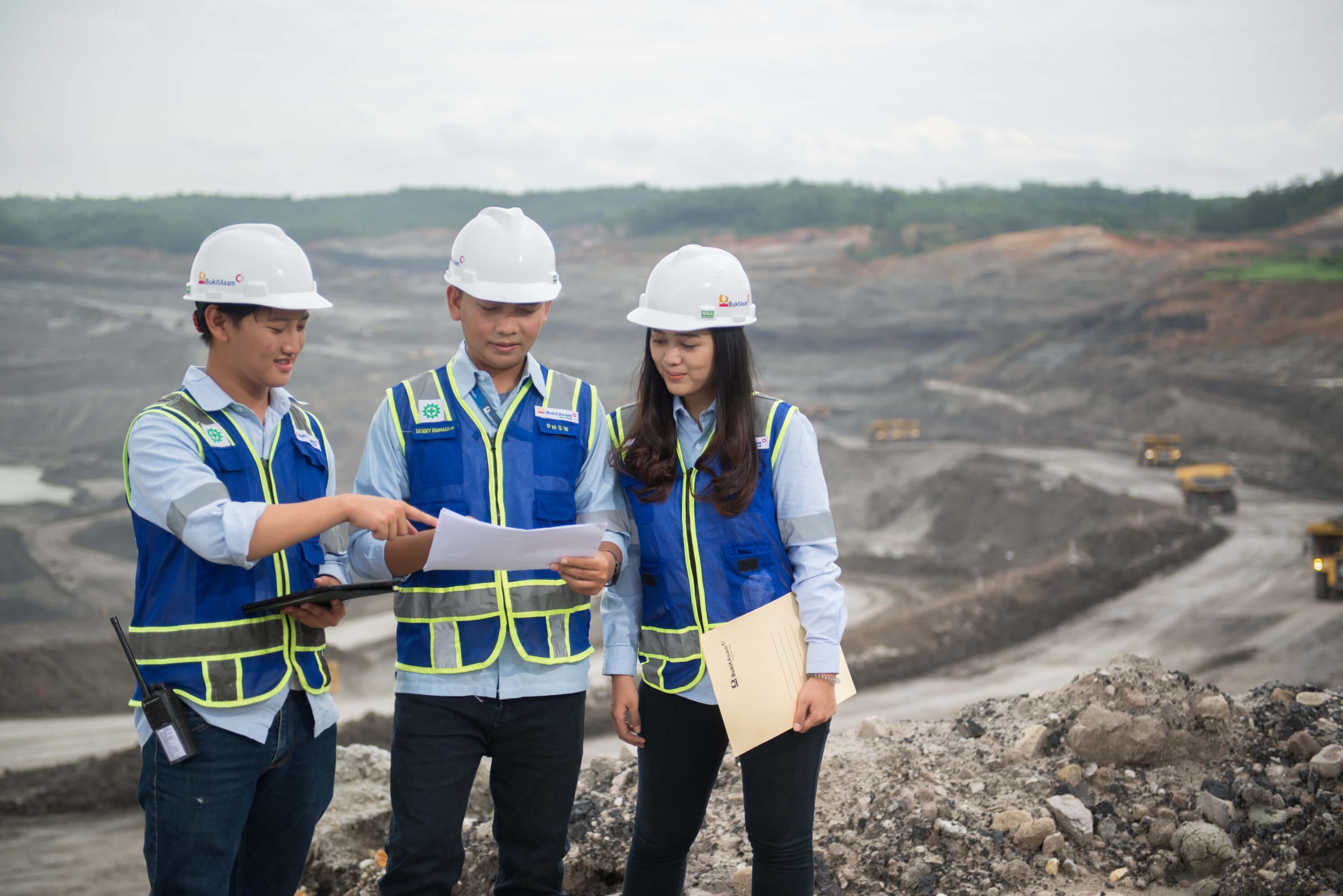 Di Saat Kas Melimpah, Laba Bersih PTBA Malah Anjlok, Dividen Aman?
