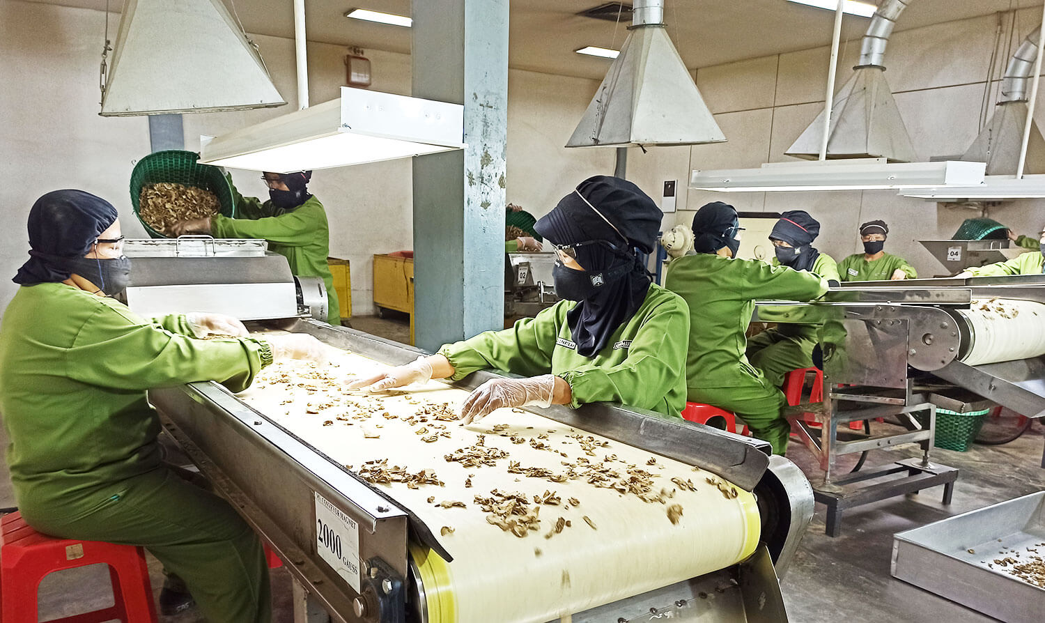 SIDO Salurkan Sisa Dividen Rp441,53 Miliar, Simak Jadwalnya