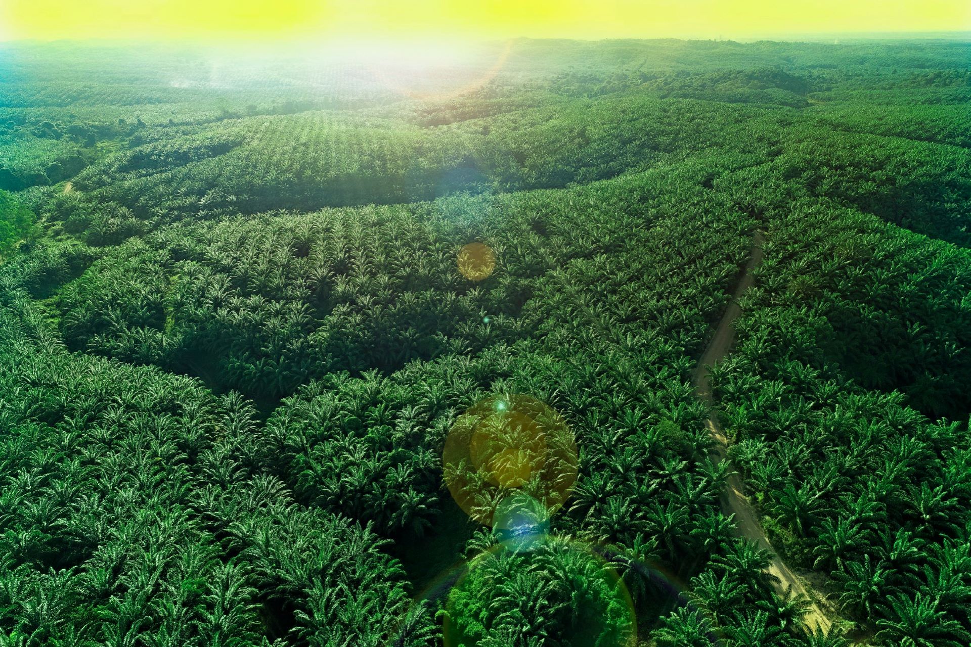 TLDN Tebar Dividen Rp38,65 per Saham, Cek Jadwal Cum Date-nya!