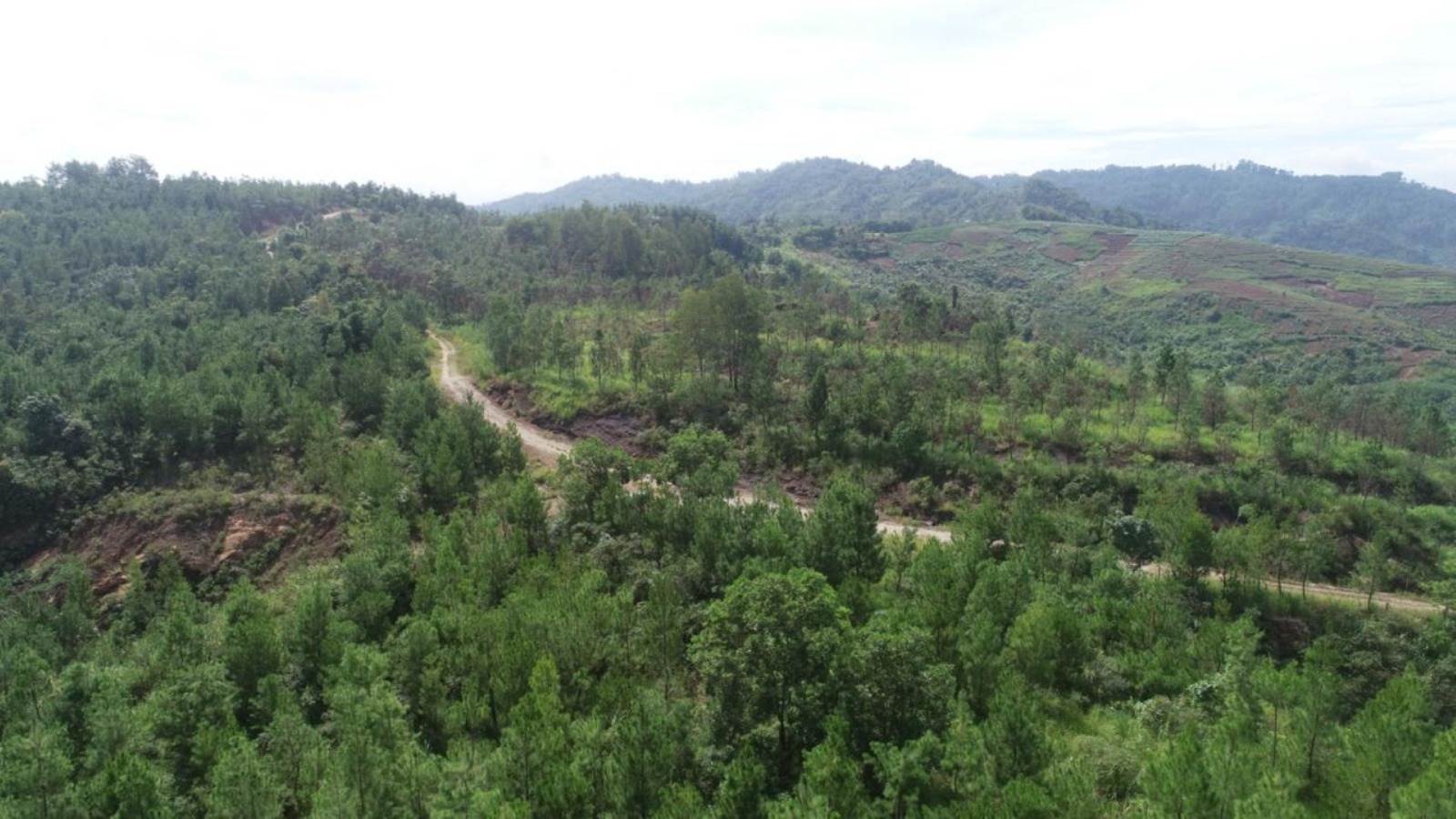 Perkuat ESG, SMGR Pacu Energi Bersih hingga Reklamasi