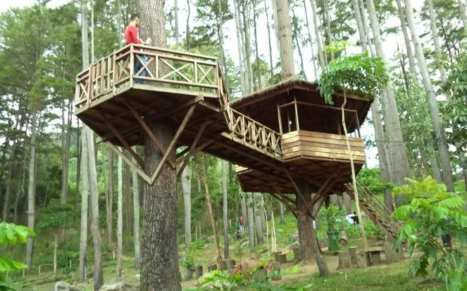 Dedi Stop Izin Pembangunan Wisata dan Perumahan Kawasan Hutan Jabar