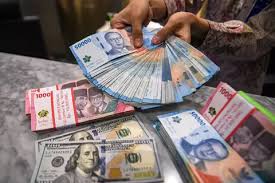 USD dan Orang Desa, Ekonom Anggap Presiden Hanya Benar Secara Literal