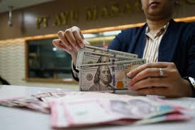 BI Umumkan Batas Pembelian Maksimal USD25.000 Berlaku Mulai Juni 2026