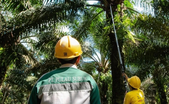 PTPS Tebar Dividen Final Rp9,75 Miliar, Sekitar Rp11 per Saham