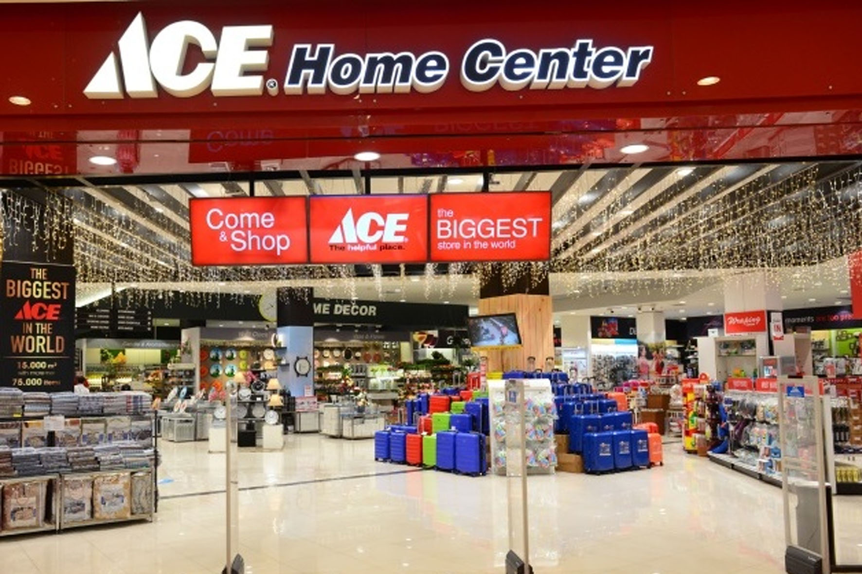 ACES Tabur Dividen 82 Persen Laba, Yield Capai 9,7 Persen