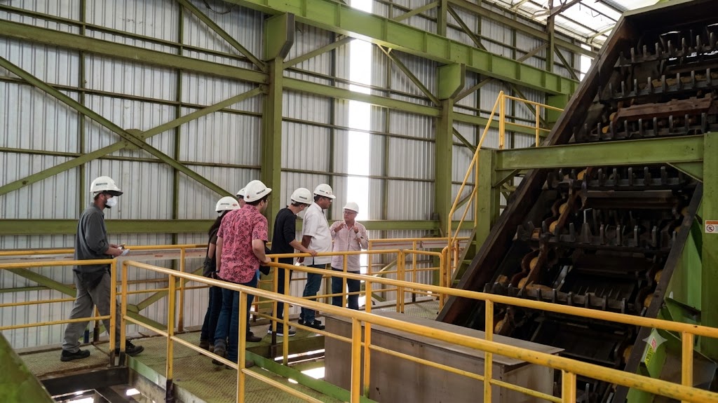 TBLA Ketok Dividen Tunai Rp360 Miliar, Investor Kantongi Segini