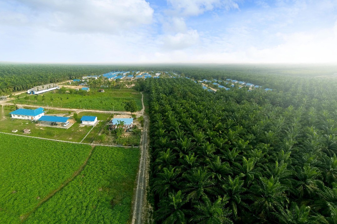 SIMP Bagi Dividen Rp403,03 Miliar, Yield Capai 4,73 Persen