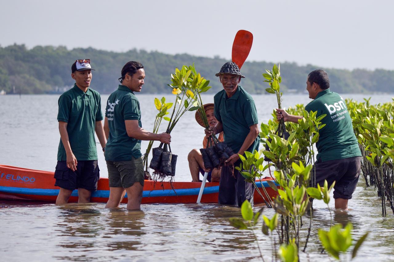 Hari Mangrove Sedunia 2026, BSN Dorong Pelestarian Ekosistem Pesisir