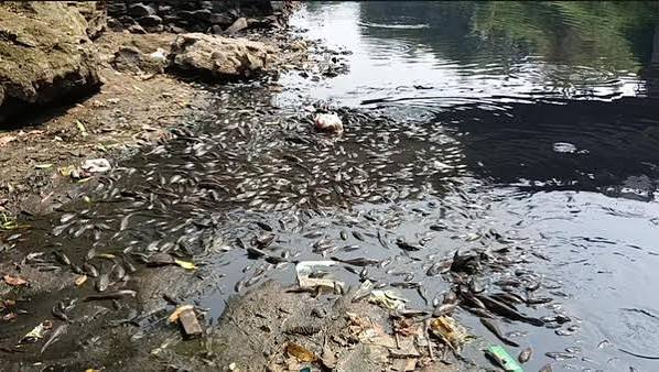 Sungai Cileungsi Bogor Hitam dan Berbau, Diduga Tercemar Limbah B3