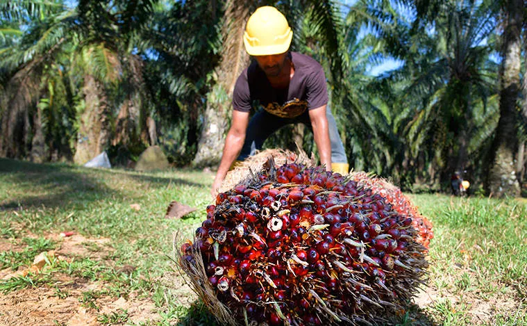 RI-UE Bebaskan Tarif 98% Pos Dagang, Emiten Sektor ini Siap Panen