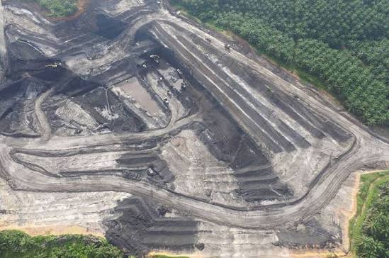 PAM Mineral (NICL) Siap Bagikan Dividen Setengah dari Laba Bersih