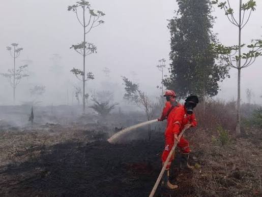 Karhutla di 7 Provinsi, Kemenhut Jatuhkan Sanksi Untuk 32 Perusahaan