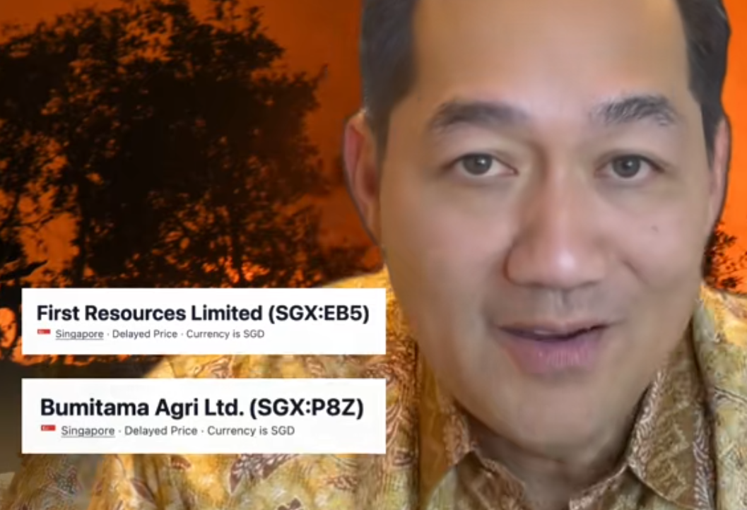 M Lutfi Sentil Taipan Sawit dan Pajak Singapura Soal Karhutla