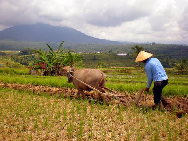 Target 2027, Pemerintah Rancang Penyaluran Kredit Produktif Rp400T