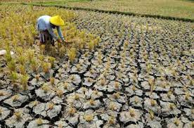 Hadapi Ancaman Krisis Pangan, Indonesia Suarakan Optimalisasi Pengelolaan Air di WWF 2024