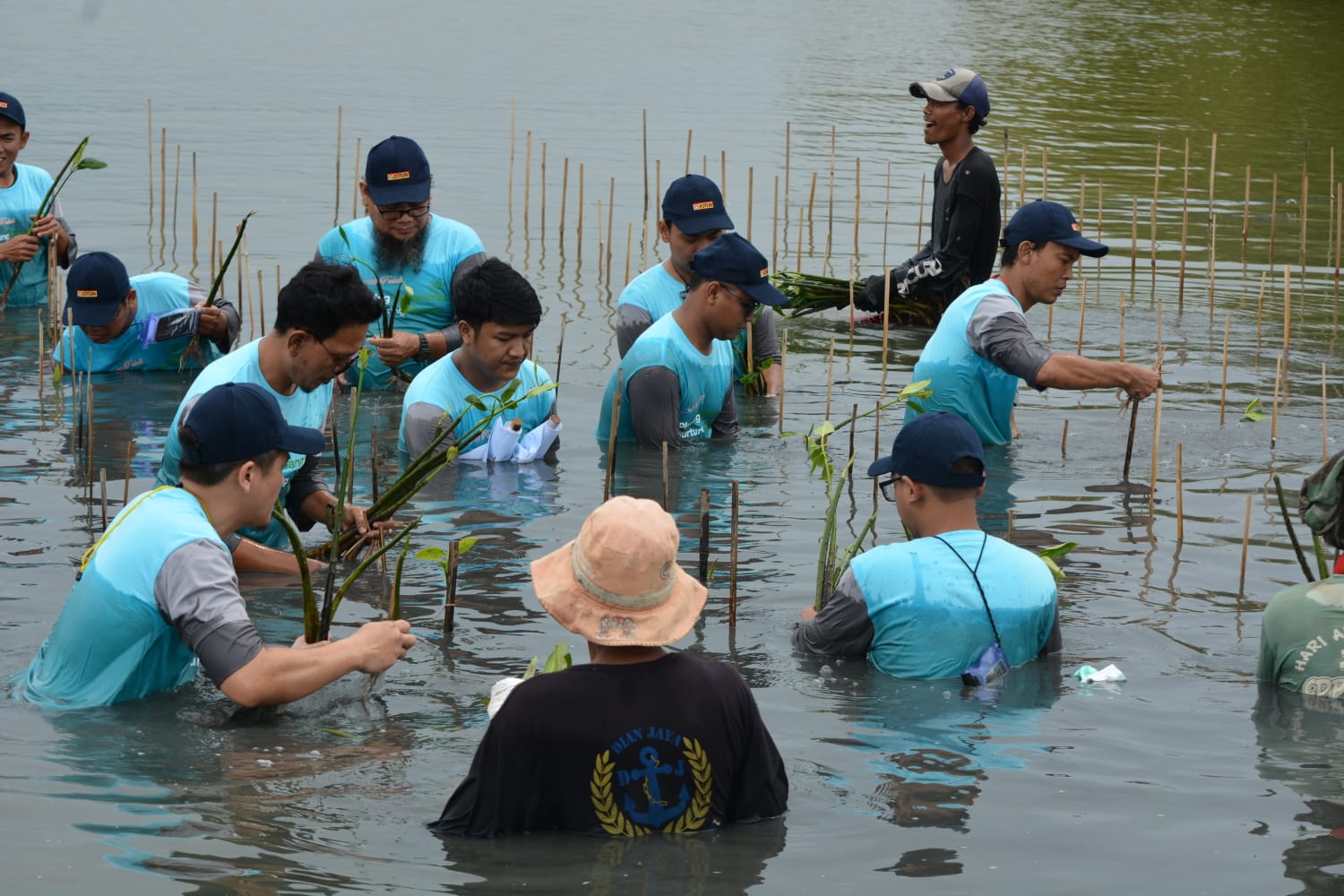 Peduli Lingkungan, Bekasi Fajar Tanam 20.800 Pohon Mangrove di Muara GembongĀ
