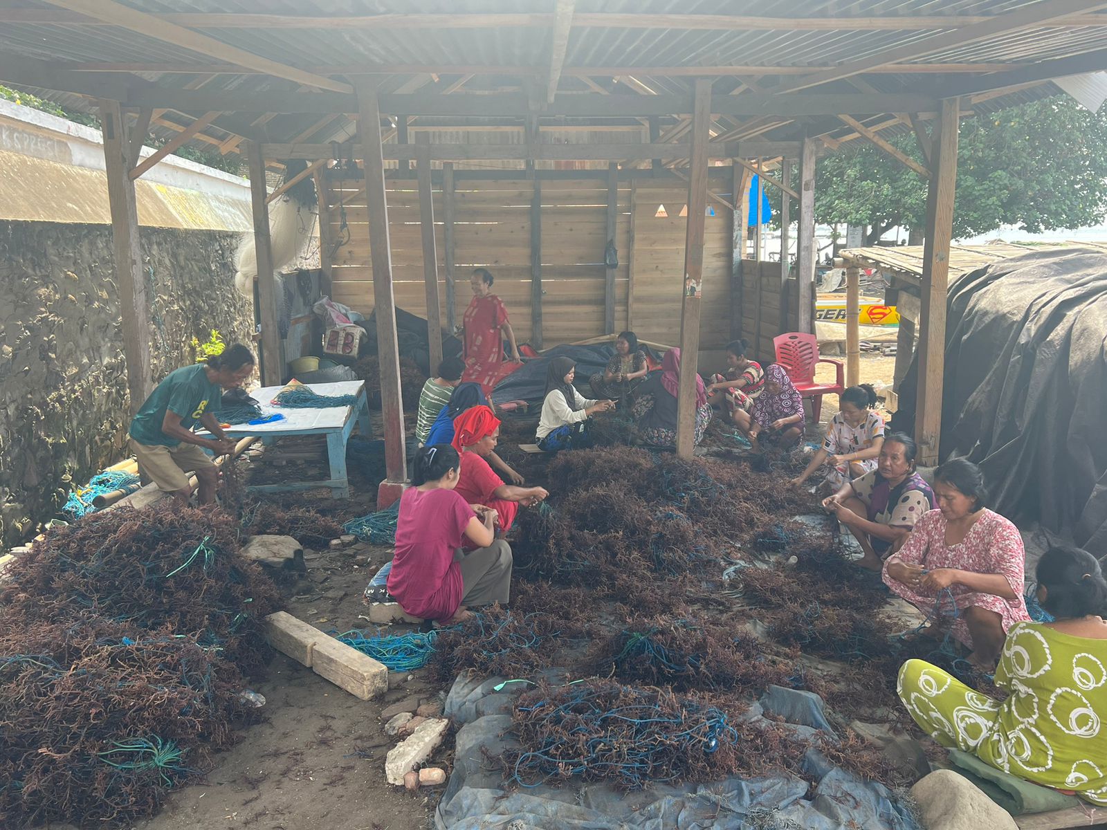 Klaster Usaha Rumput Laut Kampung Pogo, Sukses UMKM Binaan BRI