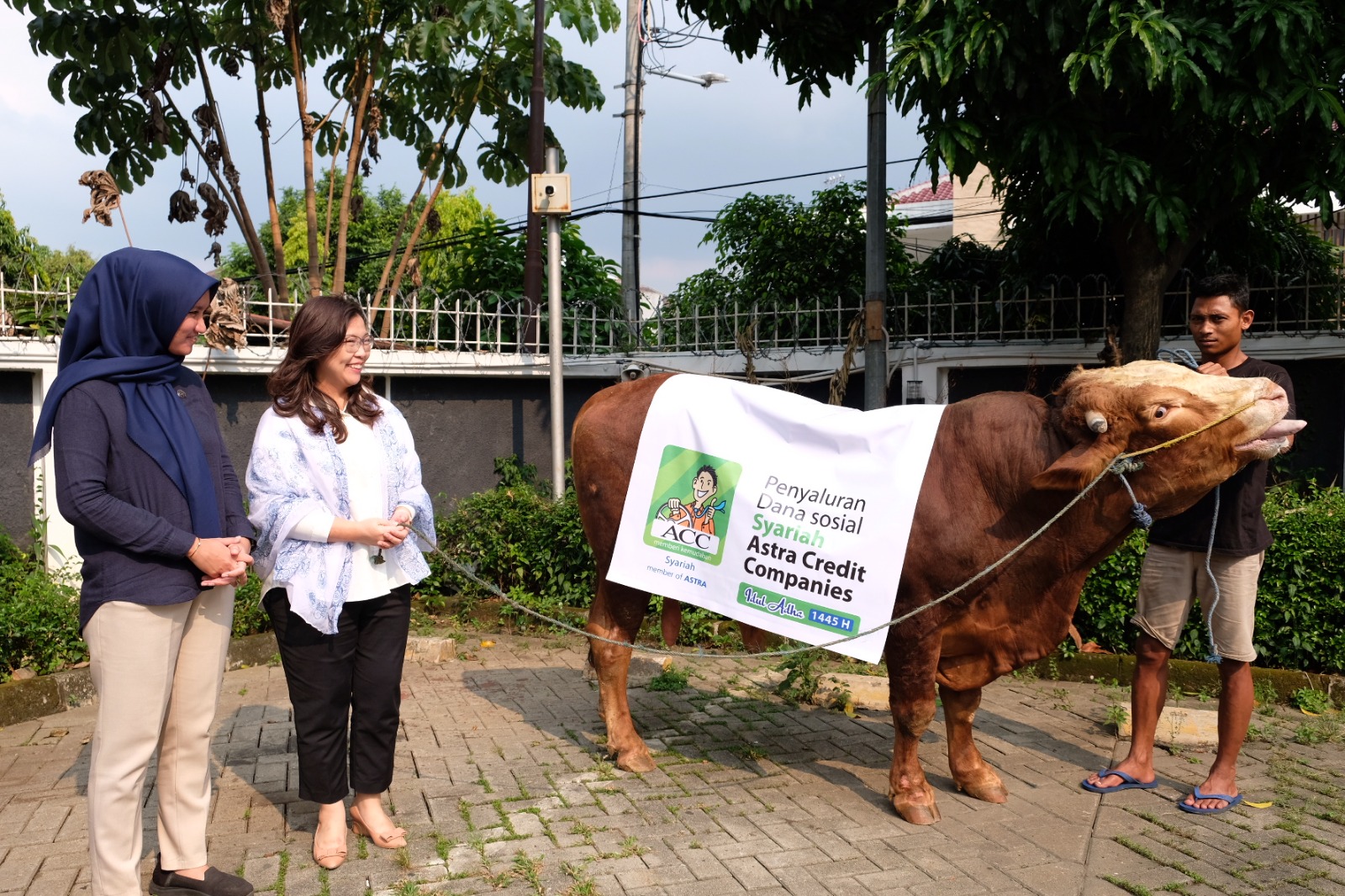 Iduladha 1445 Hijriah, ACC Sumbang Ratusan Hewan Kurban