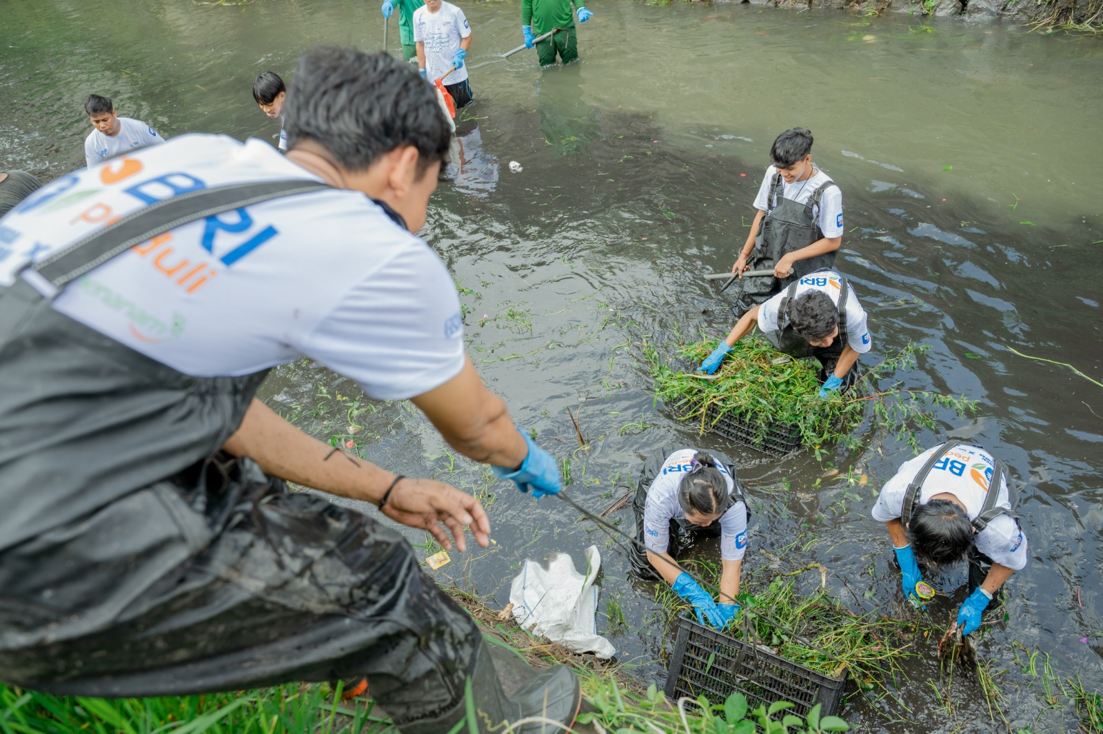 BRI Peduli Jaga Sungai Jaga Kehidupan, Hijaukan Lingkungan SekitarĀ