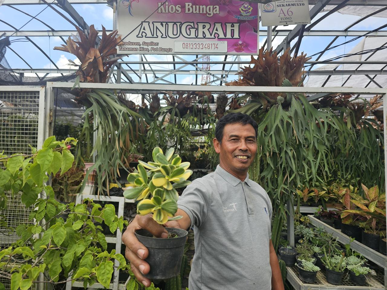 Binaan BRI Ini Ubah Hidup Warga Lewat Tanaman Hias