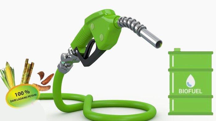 HIP BBN Bioetanol Maret 2026 Ditetapkan Rp7.949 per Liter