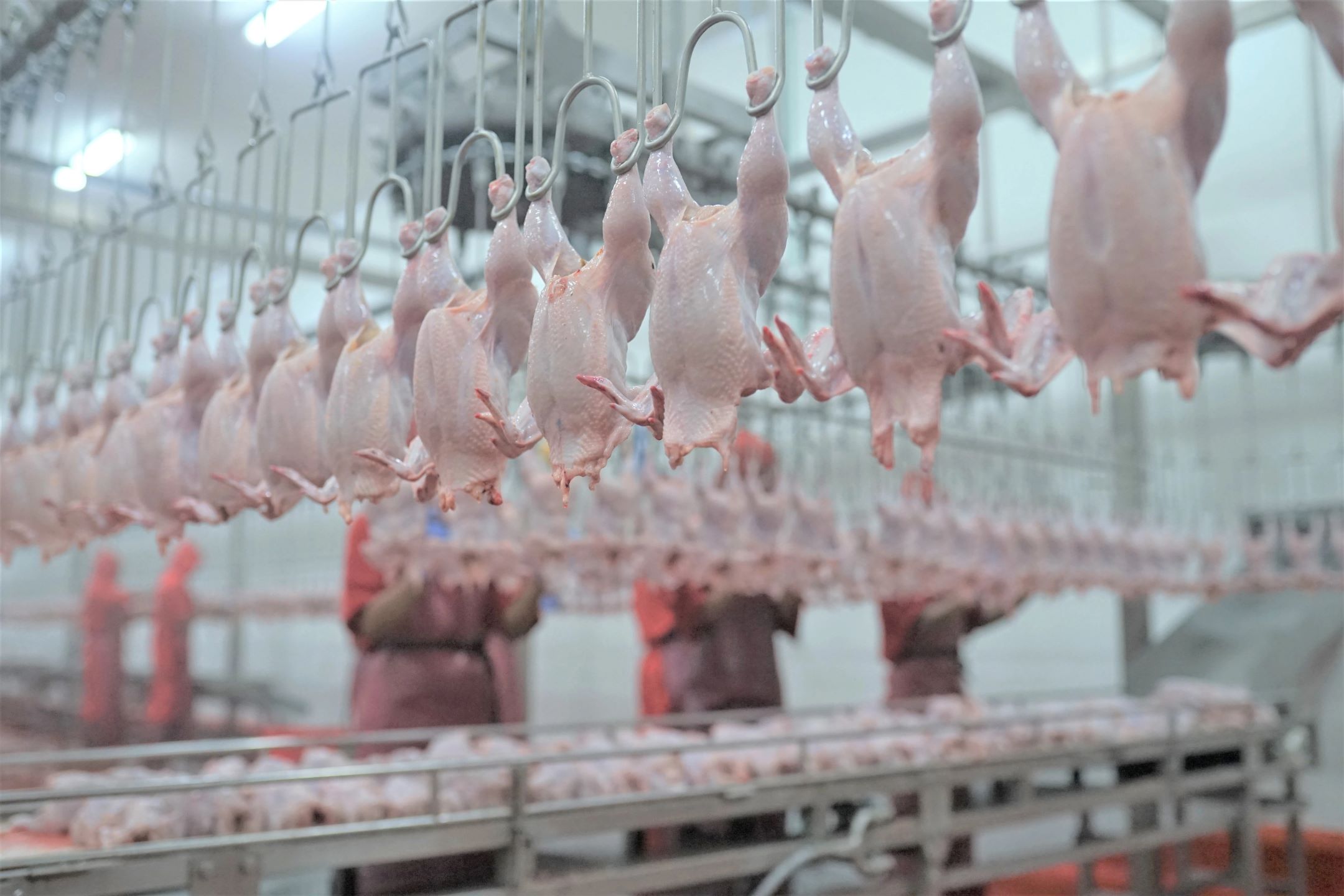 WMPP Ungkap Gugatan PKPU Anak Usaha Berakhir Damai