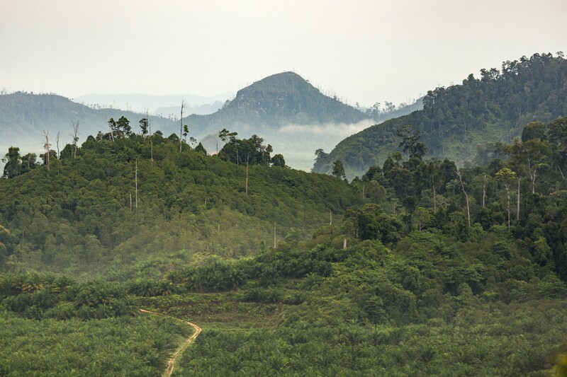 Akhiri 2025, STAA Raup Laba Rp1,6 Triliun