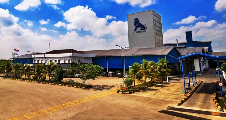 Laba Emiten Poultry (CPIN) Melonjak 52 persen ke Rp5,6 Triliun di 2025