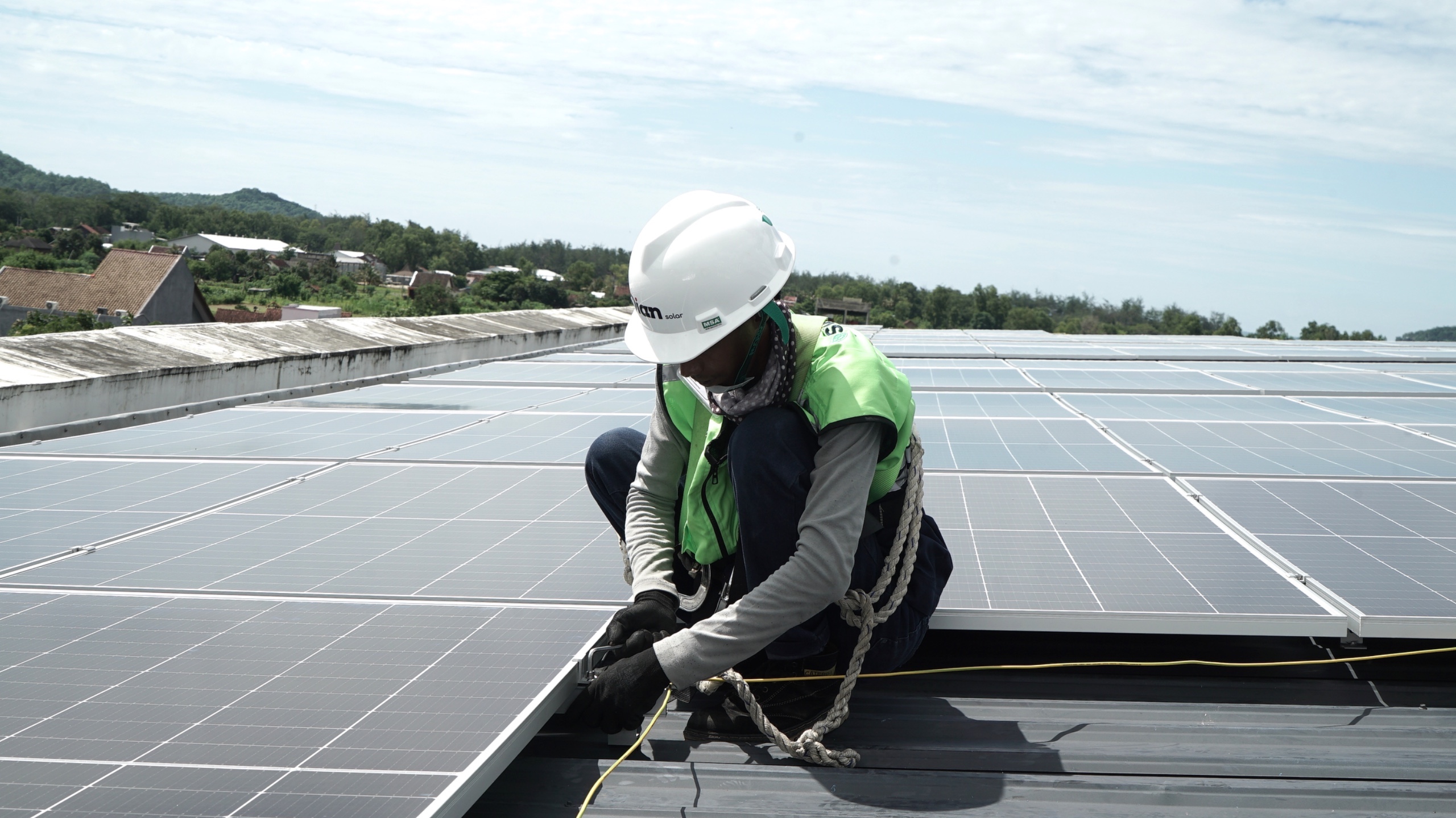DSSA Beber Penyebab Saham Terjun Bebas 