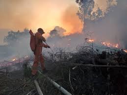 Waspadai Potensi Godzilla El Niño di Indonesia, Ini Peringatan BRIN