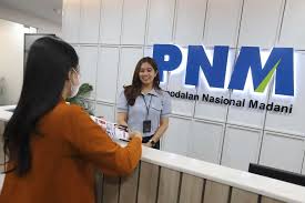 Kantongi Restu Presiden, Purbaya Bakal Jadikan PNM Bank UMKM