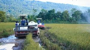 Antisipasi Godzilla El Nino, Ini Langkah Penting Pemprov Jateng-Jatim