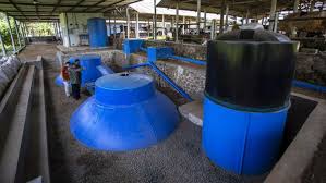 Dinas ESDM Kaltim Ubah Kotoran Sapi Jadi Energi Untuk Masyarakat