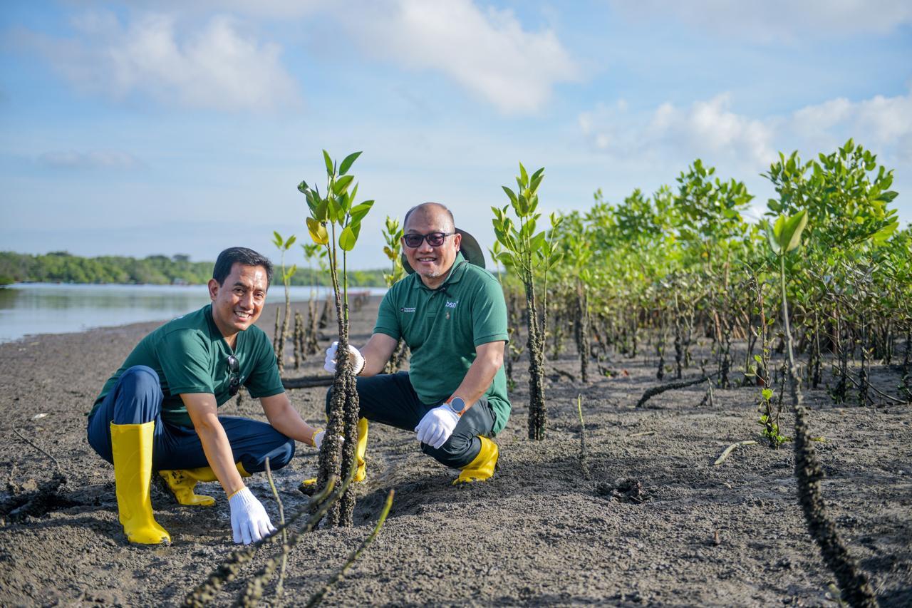 Investasi Hijau, BSN Tanam Ribuan Mangrove di Teluk Benoa