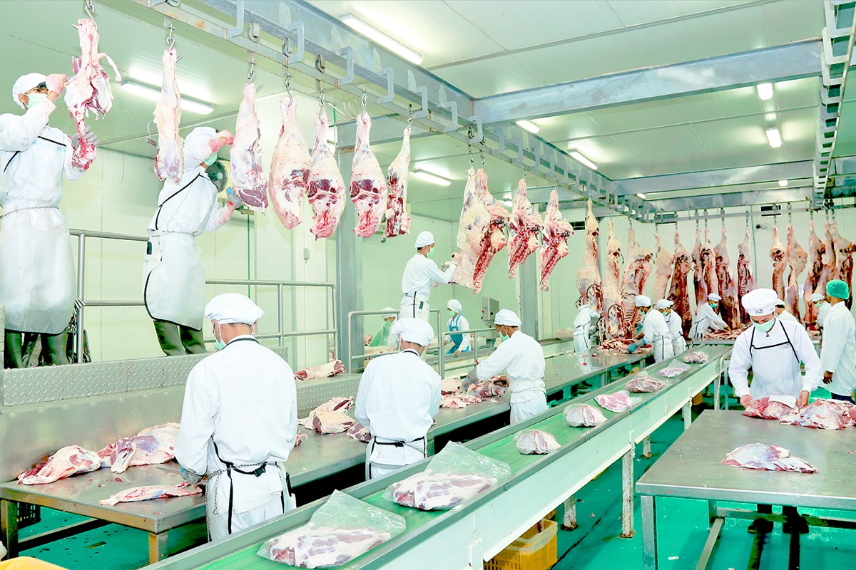 Konversi Utang, WMPP Sodorkan Right Issue 8,5 Miliar Lembar