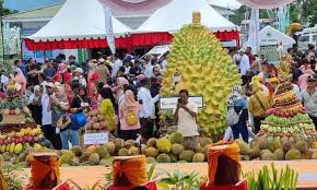 Durian Indonesia Laris Manis di China, Mengapa Sulteng Mendominasi?