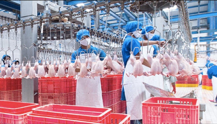 Tak Bagi Dividen, RUPST Sreeya (SIPD) Reshuffle Komisaris