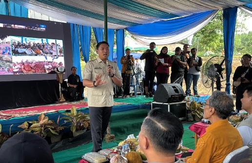 Hadapi El Nino, Kementan Tanam Padi Serentak di 16 Provinsi