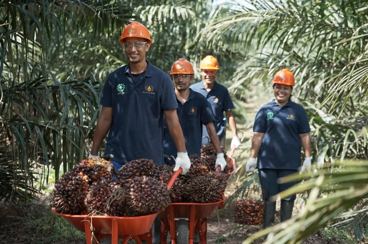 Pendapatan STAA Melonjak 49,4 Persen di Q1-2026, Laba Justru Monoton