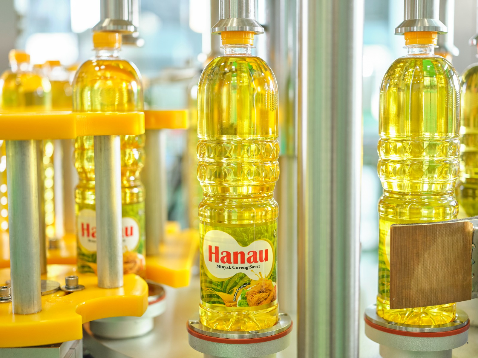 Laba Bersih Citra Borneo Utama (CBUT) Naik 11,5 Persen di Q1-2026