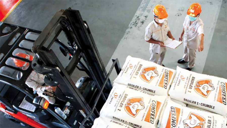 Laba Melonjak, JPFA Gulirkan Dividen Rp140 per Lembar