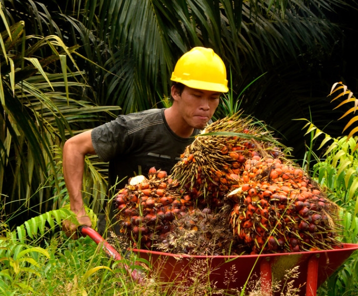 AEP Nusa Caplok 98,26 Persen Saham PNGO, Sinyal Backdoor Listing?