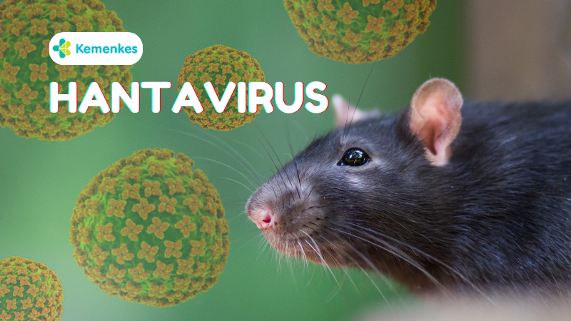 Hadapi Mutasi Hantavirus, CHEK Diversifikasi Diagnostik Zoonotik